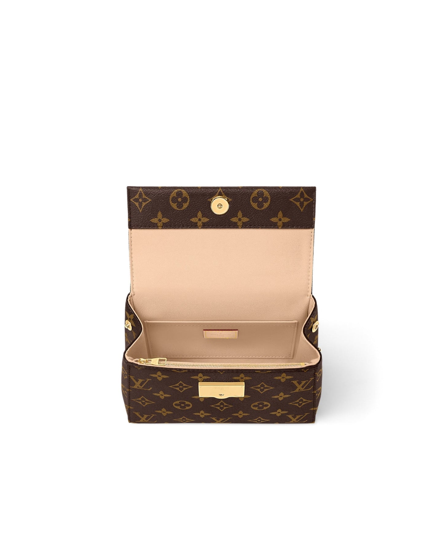 Louis Vuitton Cluny Mini Bag