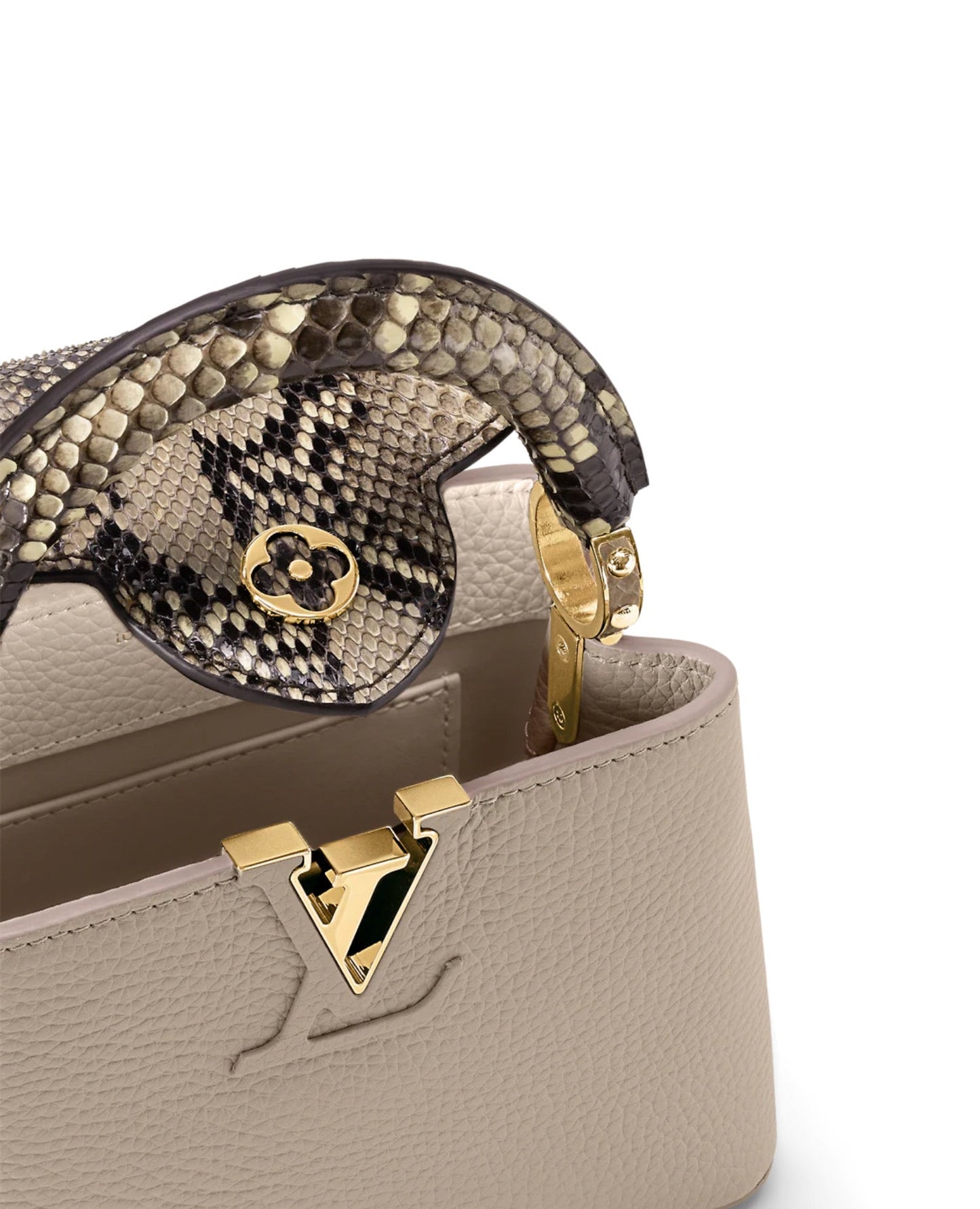 Louis Vuitton Capucines Mini