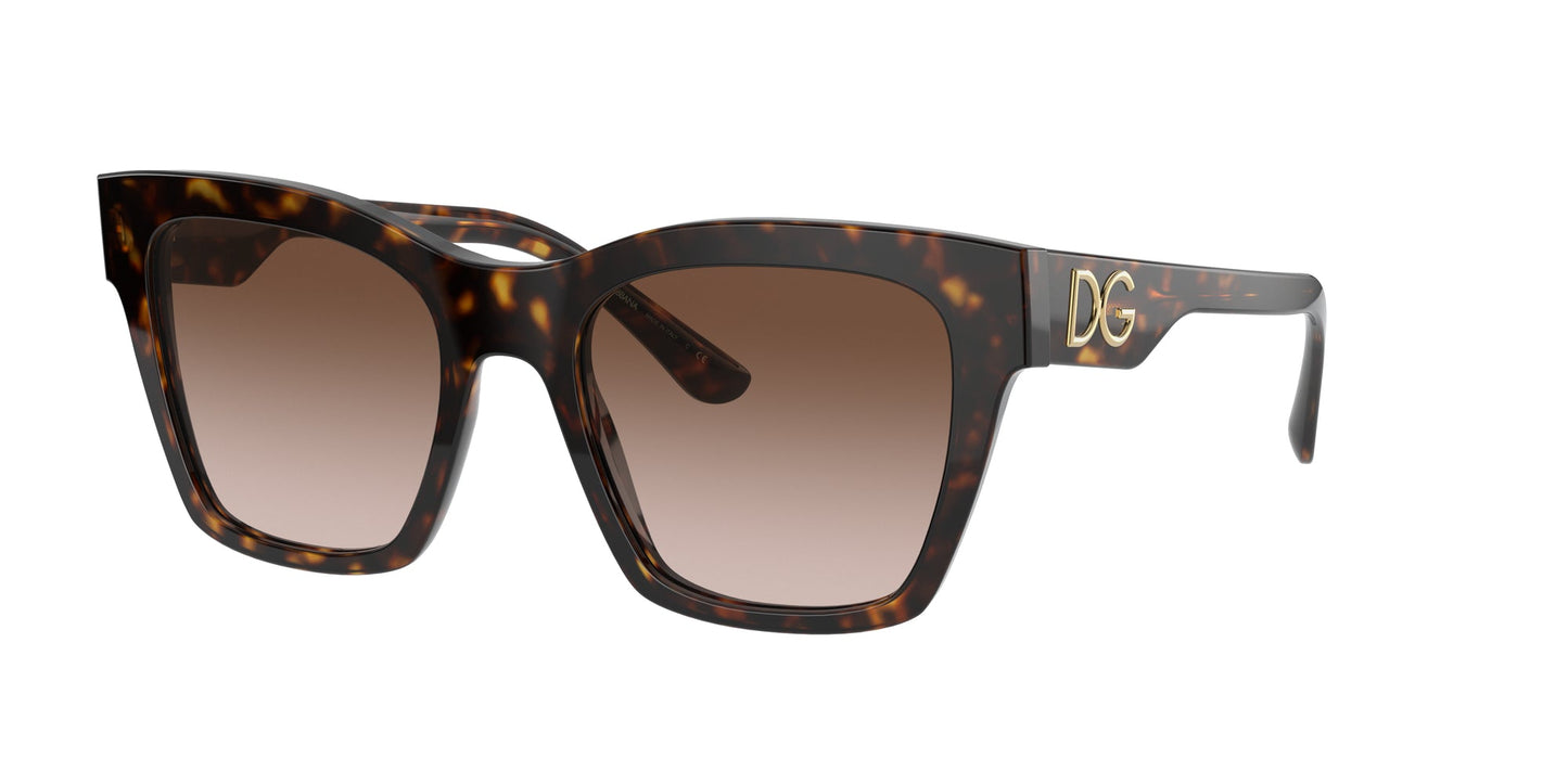 Dolce & Gabbana DG4384 Sunglasses