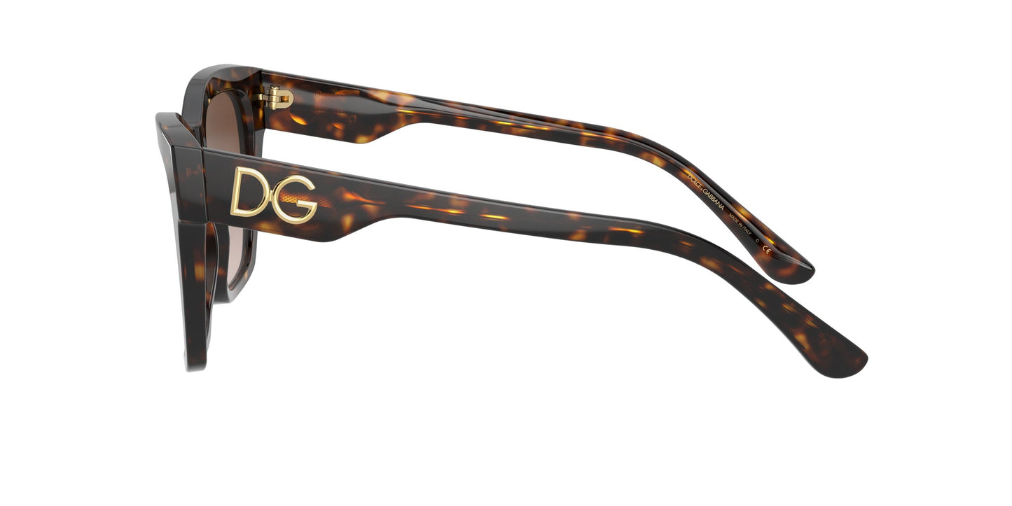 Dolce & Gabbana DG4384 Sunglasses