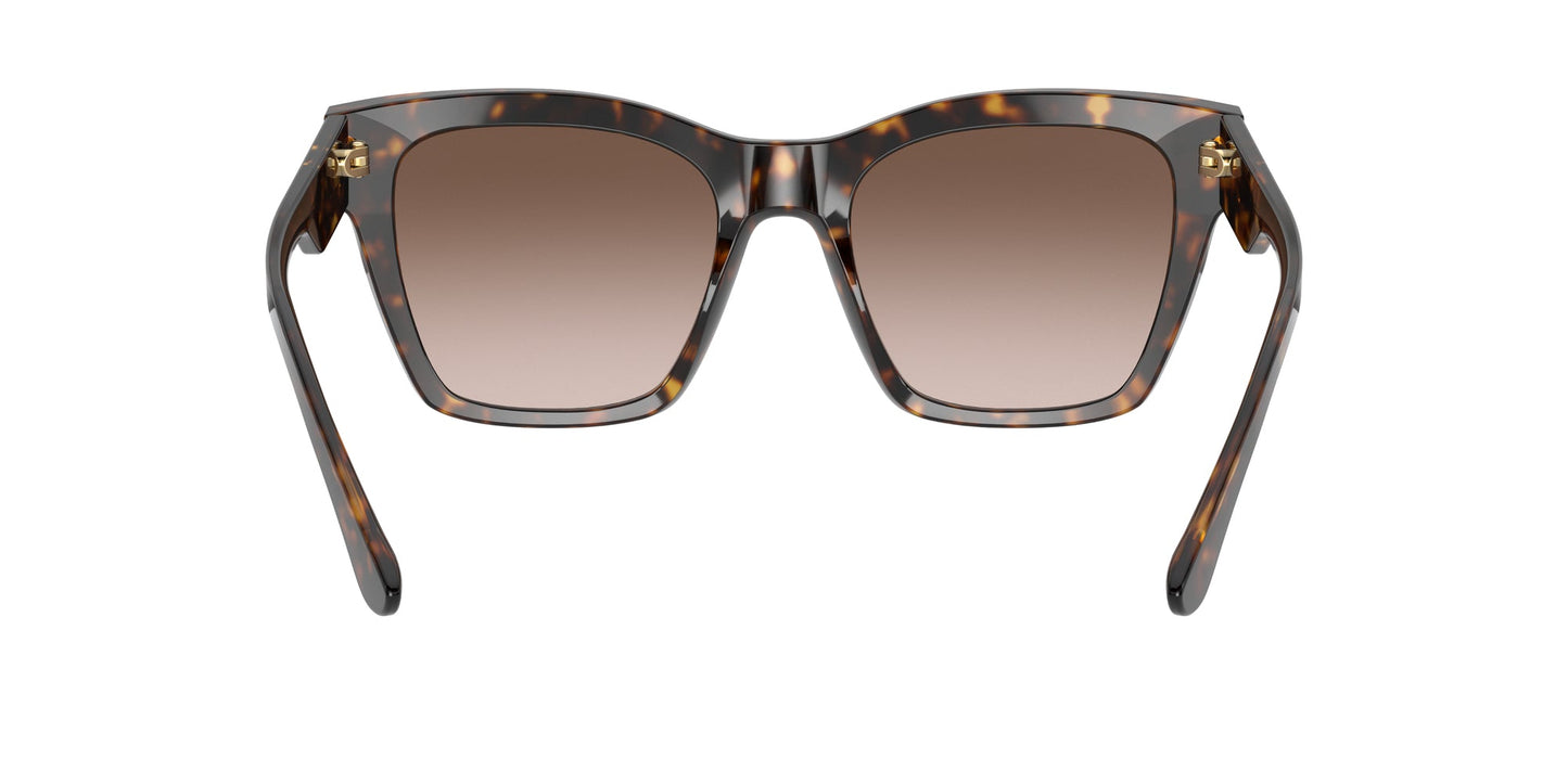 Dolce & Gabbana DG4384 Sunglasses