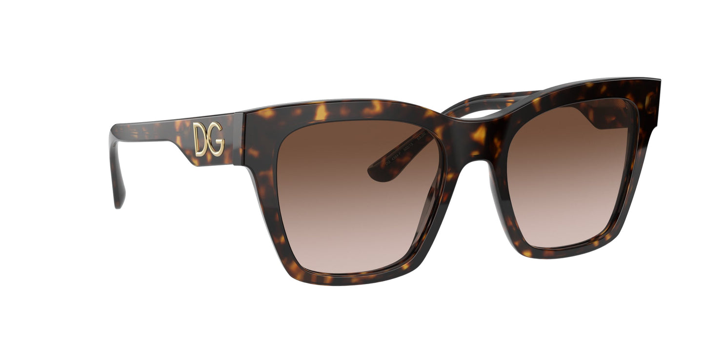 Dolce & Gabbana DG4384 Sunglasses