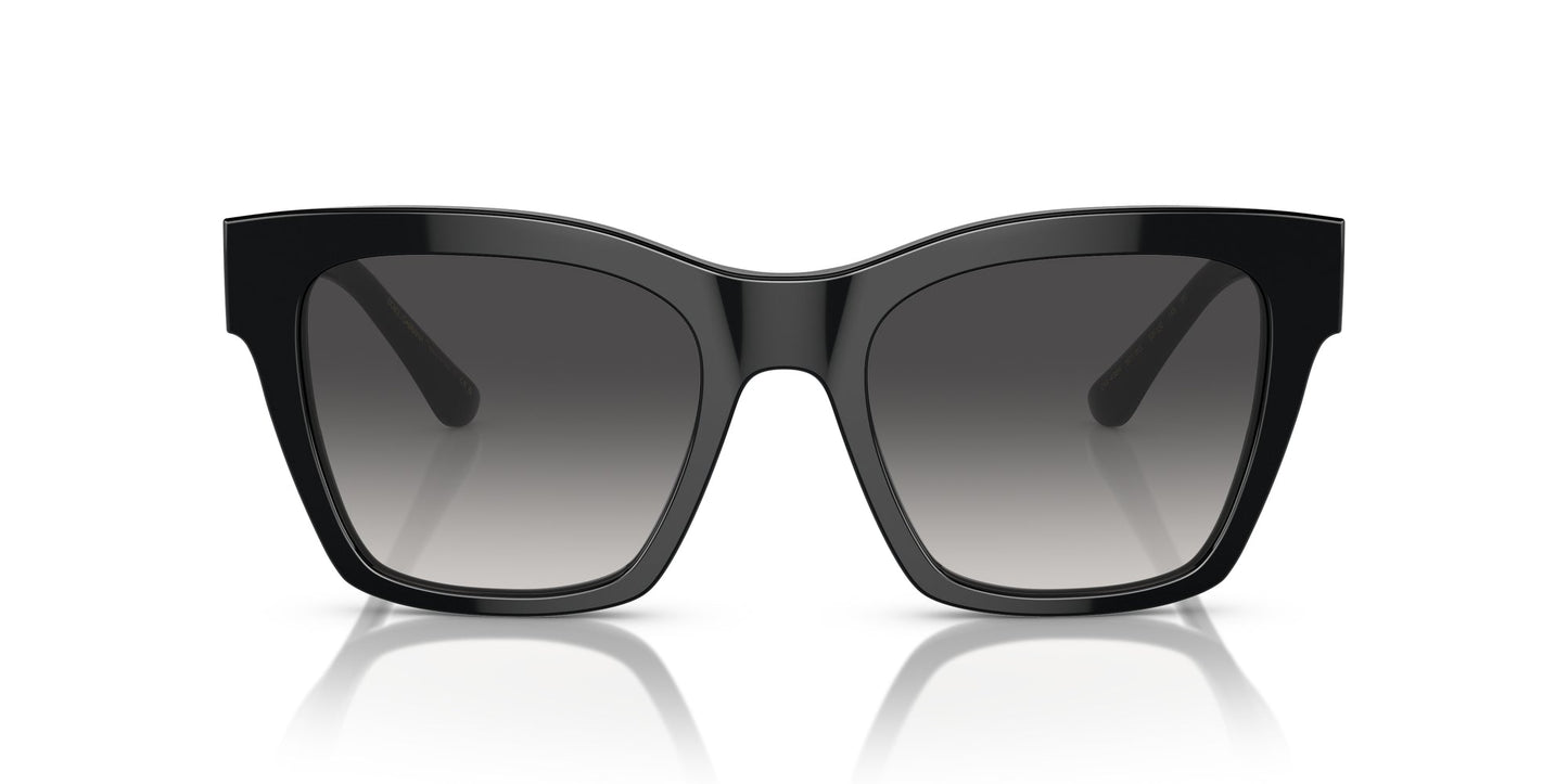 Dolce & Gabbana DG4384 Sunglasses
