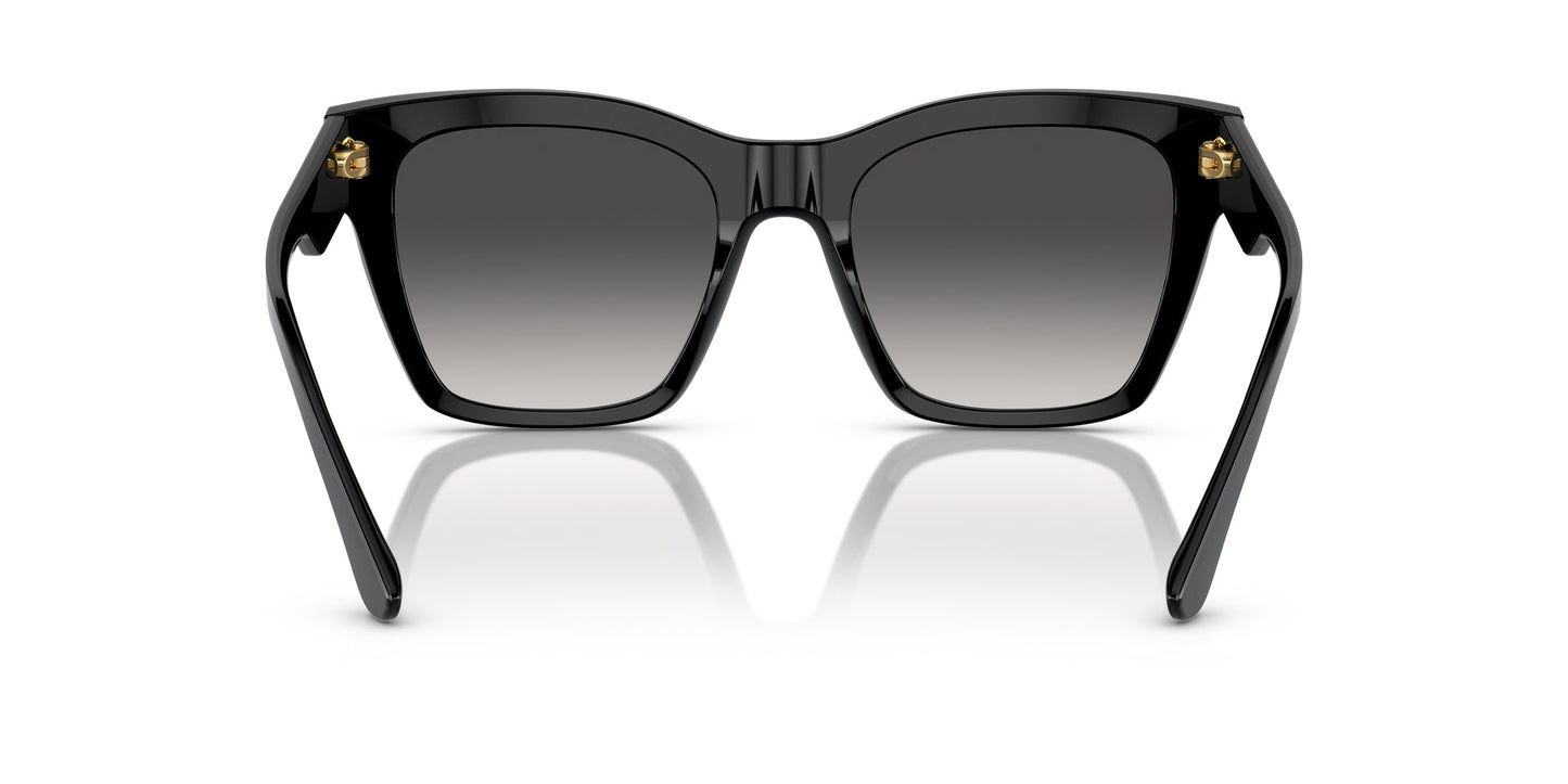 Dolce & Gabbana DG4384 Sunglasses