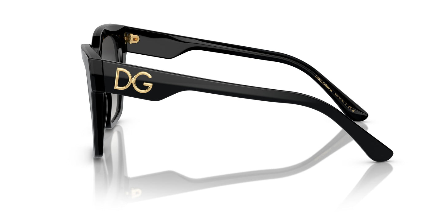 Dolce & Gabbana DG4384 Sunglasses